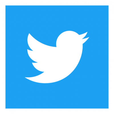 Twitter Icon Square vector